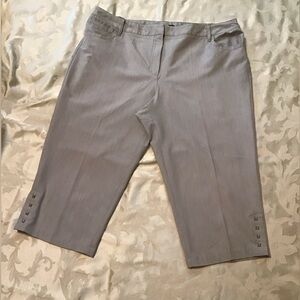 ZAC & RACHEL Womens SAGE Flat Stretch Waist 5-Pocket Embellished Hem CROPPED 18W